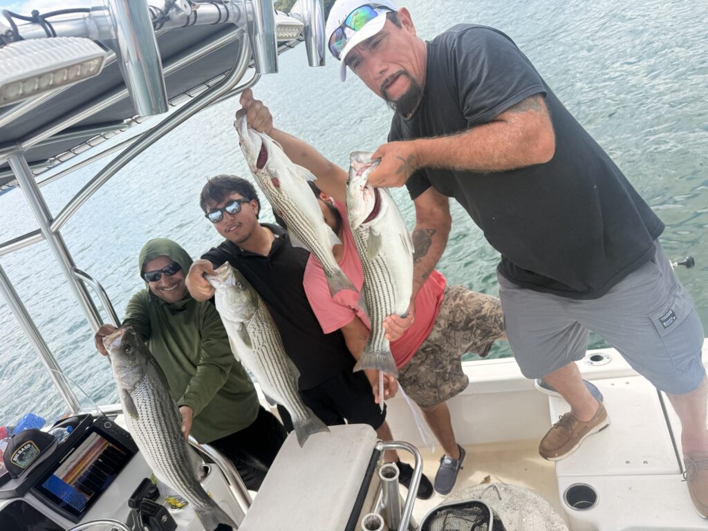 Lake Lanier Striper Fishing Report – Rain, Finicky Fish & a Big Spoon Bite Lake Lanier Striper Fishing Report – Rain, Finicky Fish andamp; a Big Spoon Bite - Lake Lanier fishing photo 1