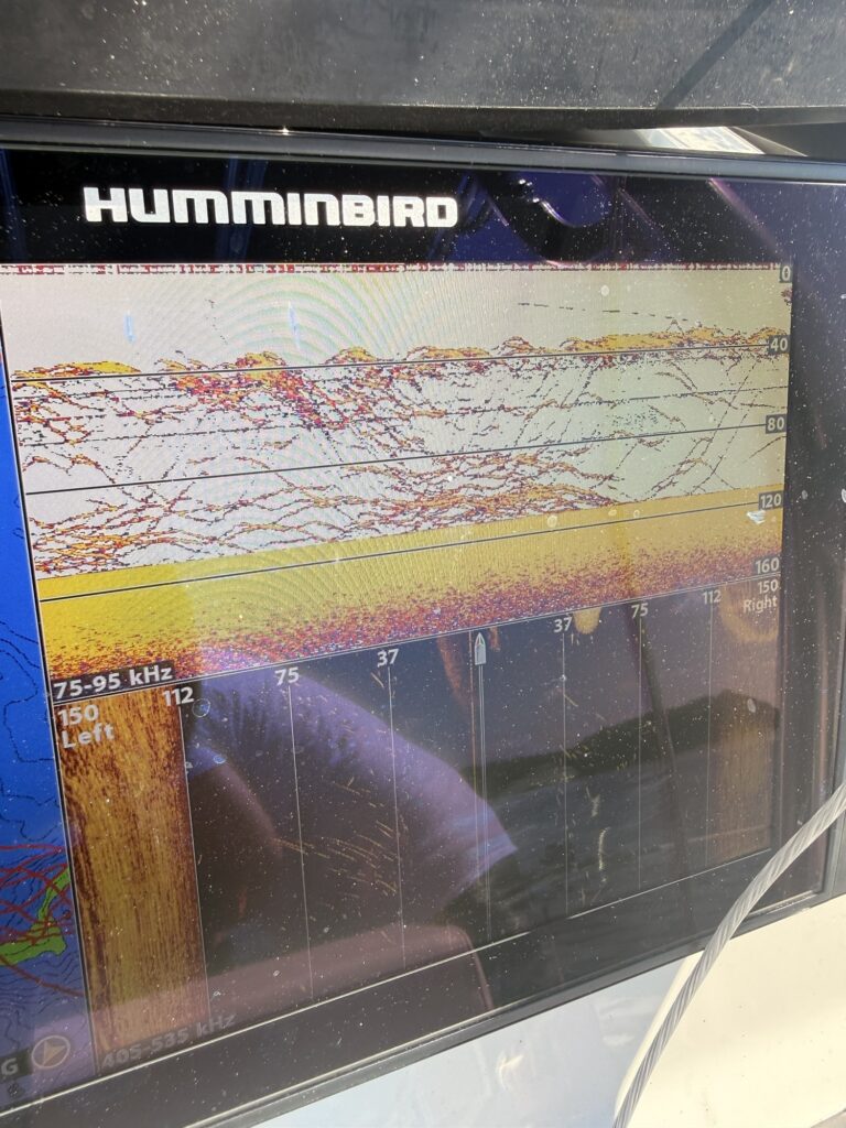 Lake Lanier Striper Fishing Report – Deep Fish, Light Boat Traffic & Magnum Spoon Action Lake Lanier Striper Fishing Report – Deep Fish, Light Boat Traffic andamp; Magnum Spoon Action - Lake Lanier fishing photo 1
