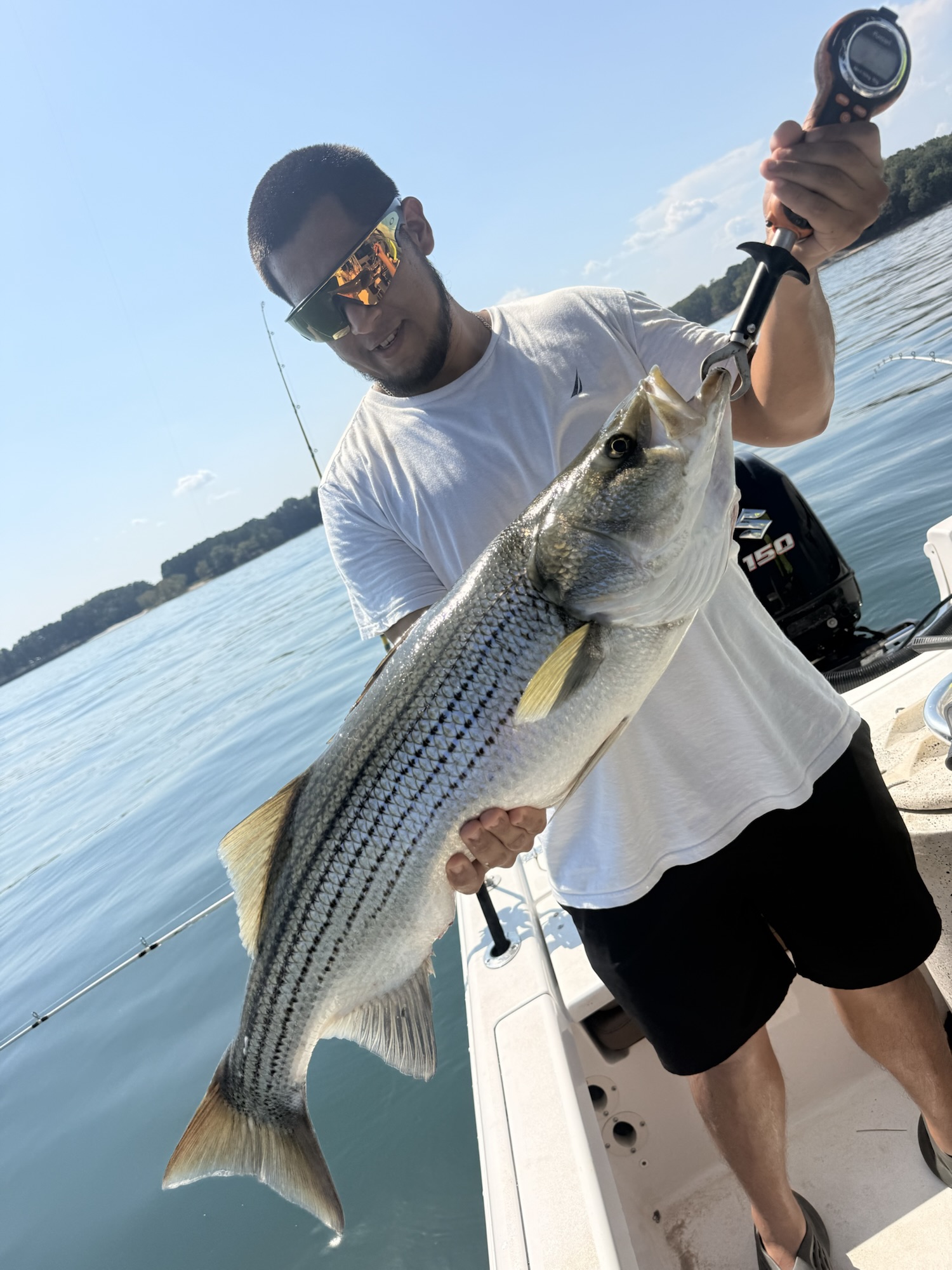 Lake Lanier Striper Fishing Report: A 21.7-Pound Baby Unicorn Lake Lanier Striper Fishing Report: A 21.7-Pound Baby Unicorn