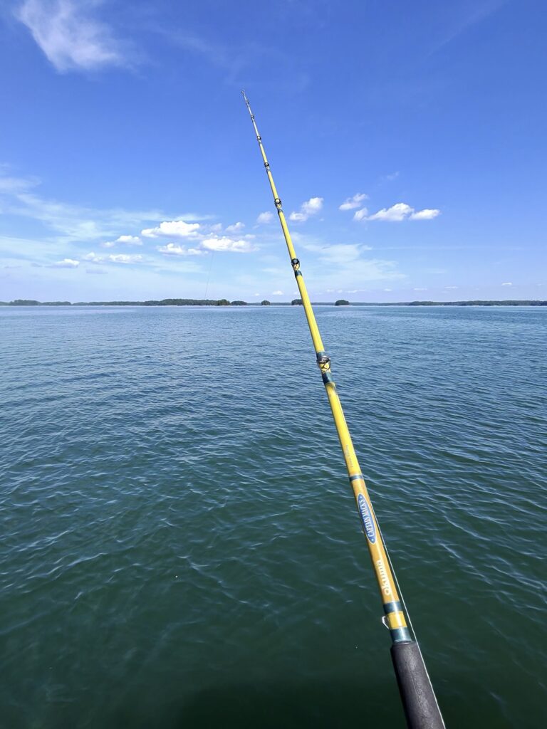 Lake Lanier Striper Fishing Report – Deep Fish, Light Boat Traffic & Magnum Spoon Action Lake Lanier Striper Fishing Report – Deep Fish, Light Boat Traffic andamp; Magnum Spoon Action - Lake Lanier fishing photo 2