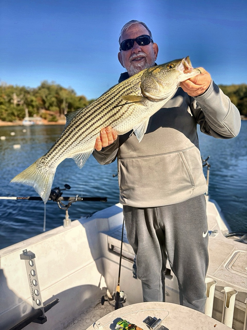 Lake Lanier Striper Fishing Report – October 22, 2026 Returning Lake Lanier client holding a quality striped bass during the fall transition