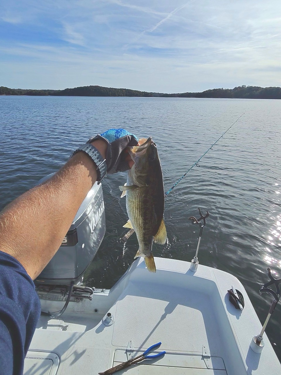 Spotted bass caught while scouting the upper end of Lake Lanier