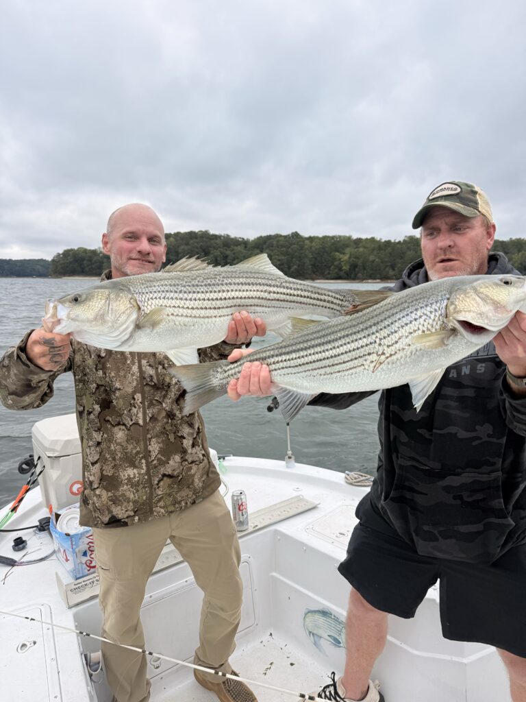 Lake Lanier Striper Fishing Report – October 11, 2026 10 photo 10
