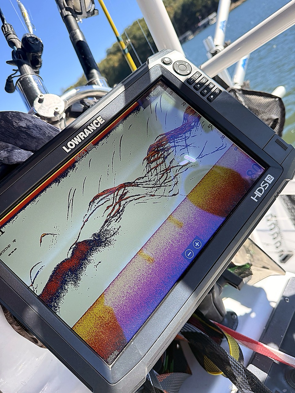 Lake Lanier Striper Fishing Report – October 19, 2026 Lowrance sonar showing Lake Lanier stripers during the fall transition