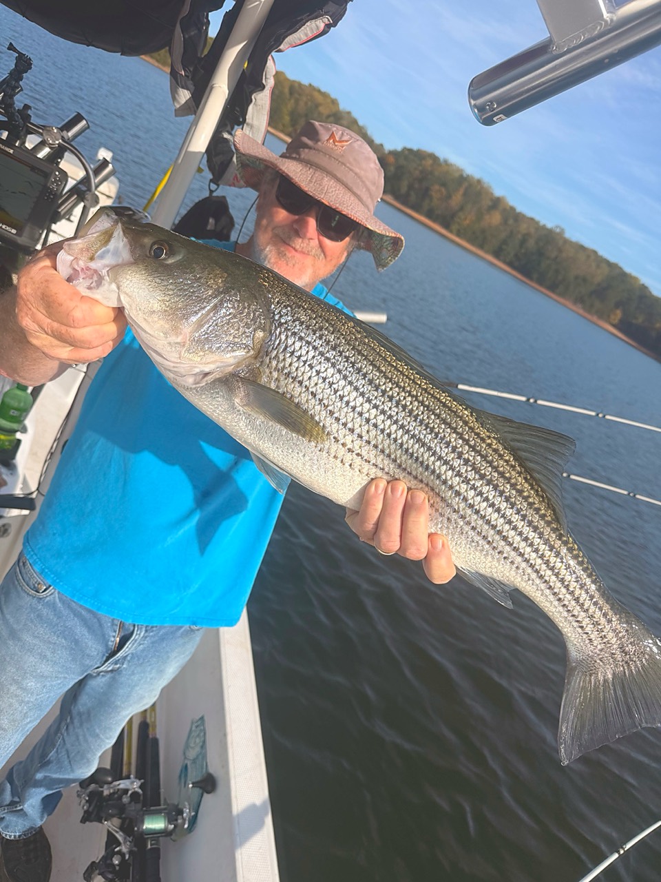 Bill Grissom holding a quality striped bass during the Lake Lanier scouting trip