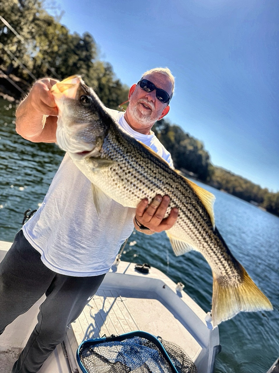 Lake Lanier Striper Fishing Report – October 22, 2026 Lake Lanier charter guest holding a striped bass caught on a weighted planer-board line