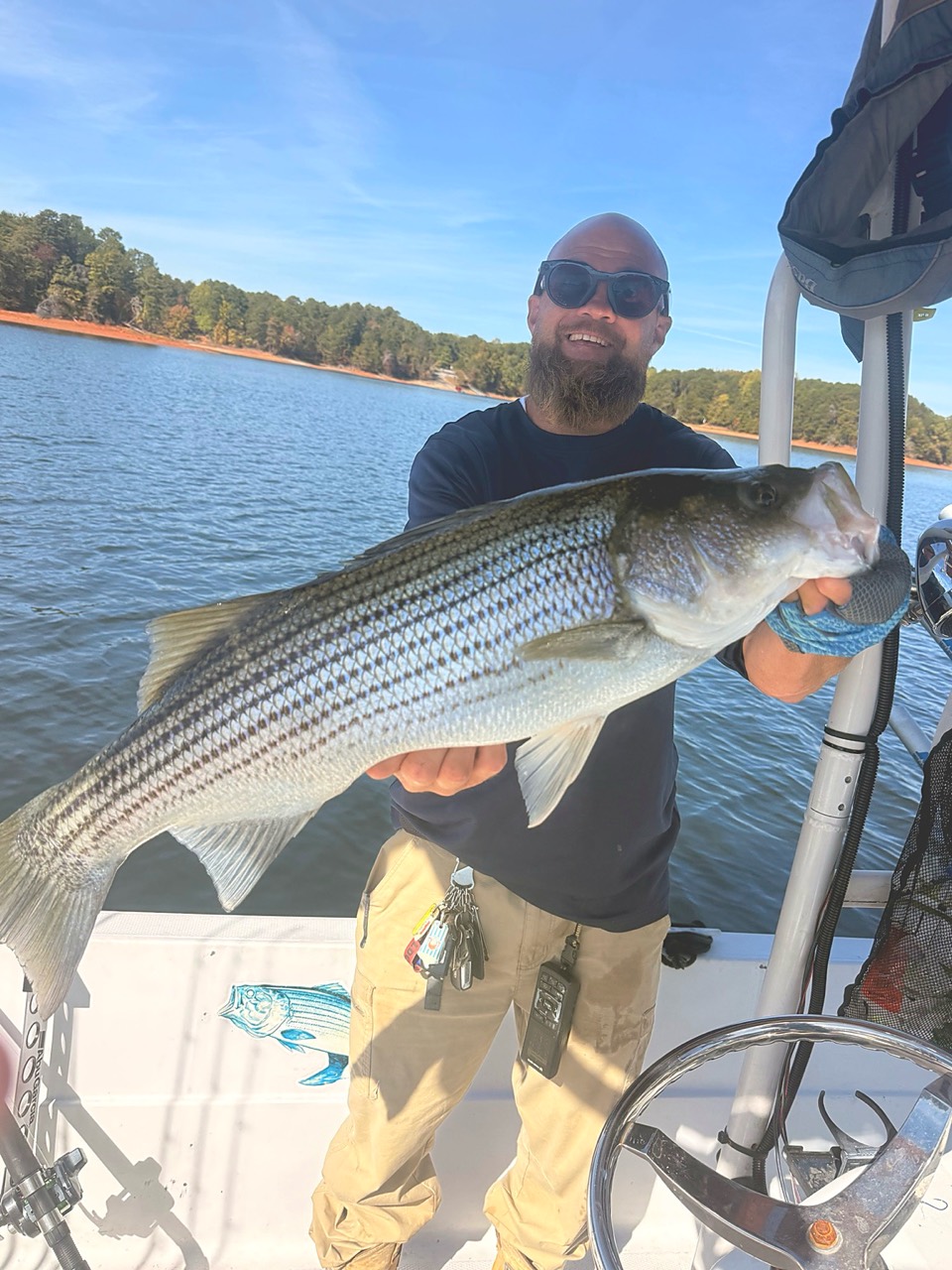 Quality striped bass caught while scouting fish from north to south on Lake Lanier