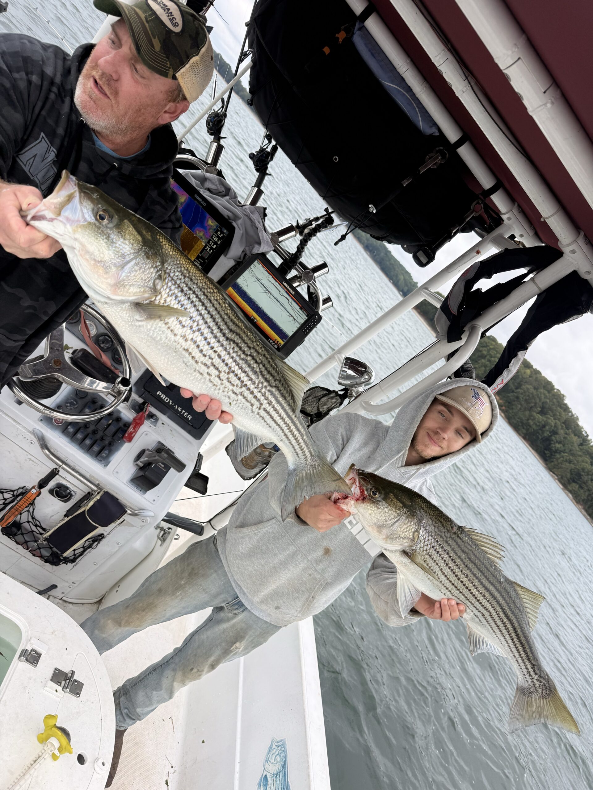 Lake Lanier Striper Fishing Report – October 11, 2026 Two anglers displaying striped bass caught on Lake Lanier