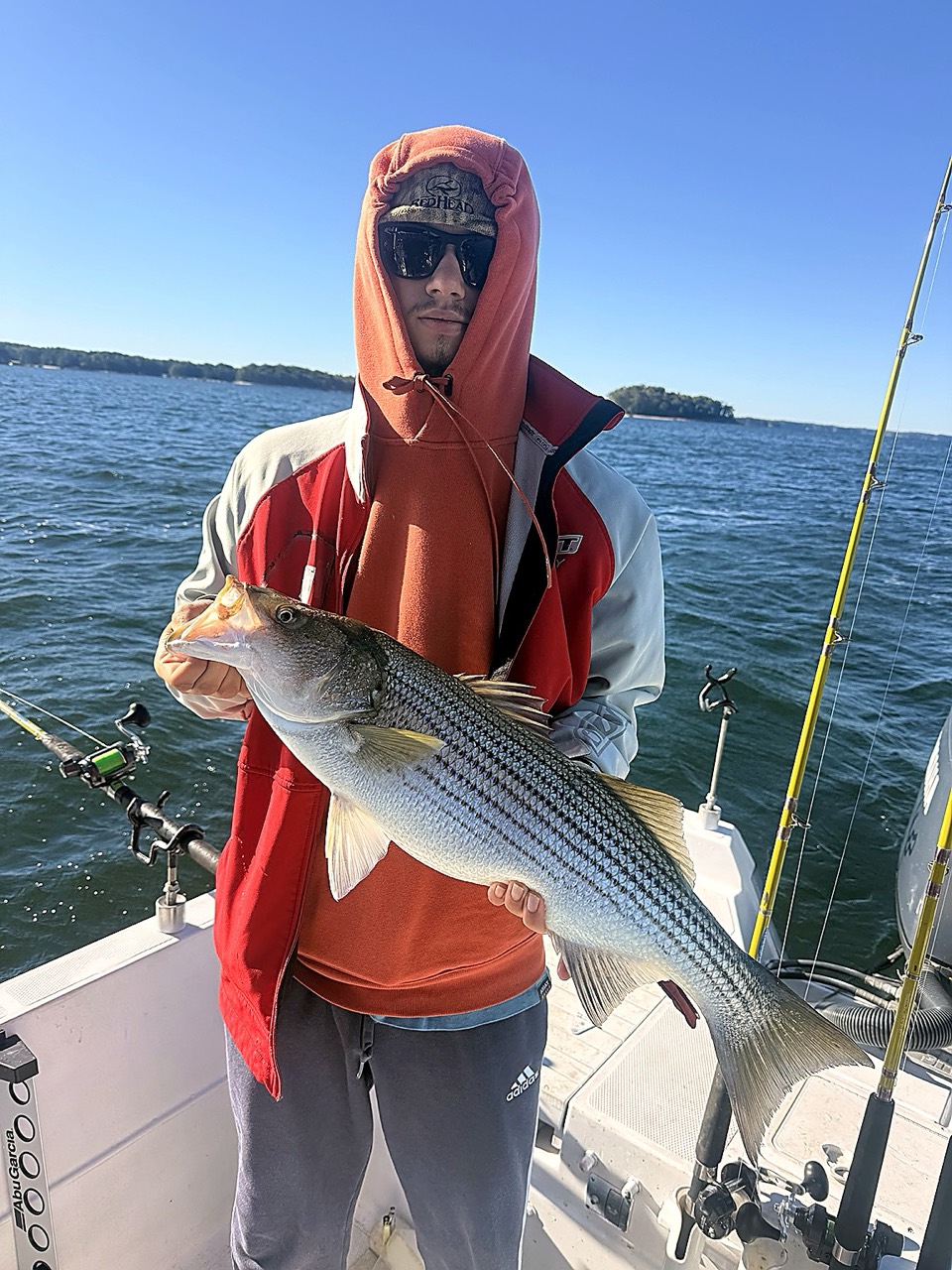 Lake Lanier Striper Fishing Report – October 19, 2026 Lake Lanier angler holding a fall striped bass