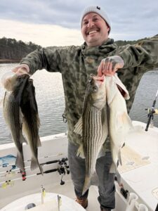 Lake Lanier trophy striped bass weighing 20 pounds or more