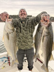 Lake Lanier trophy striped bass weighing 20 pounds or more