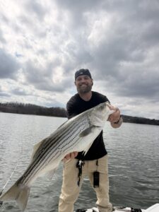 Lake Lanier trophy striped bass weighing 20 pounds or more