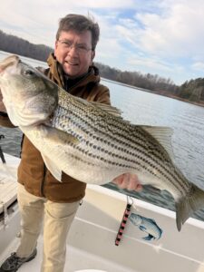 Lake Lanier trophy striped bass weighing 20 pounds or more