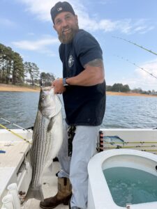 Lake Lanier trophy striped bass weighing 20 pounds or more