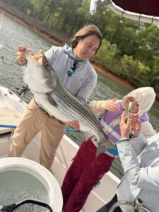 Lake Lanier trophy striped bass weighing 20 pounds or more