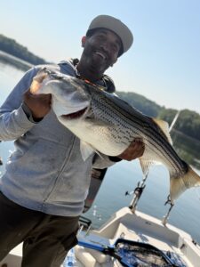 Lake Lanier trophy striped bass weighing 20 pounds or more