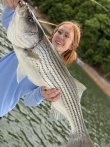 Lake Lanier trophy striped bass weighing 20 pounds or more