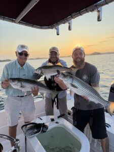 Lake Lanier trophy striped bass weighing 20 pounds or more