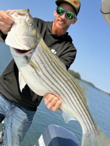 Lake Lanier trophy striped bass weighing 20 pounds or more