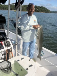 Lake Lanier trophy striped bass weighing 20 pounds or more