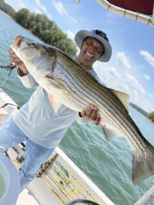 Lake Lanier trophy striped bass weighing 20 pounds or more
