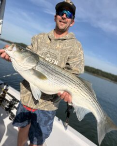 Lake Lanier trophy striped bass weighing 20 pounds or more