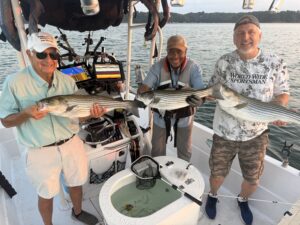 Lake Lanier trophy striped bass weighing 20 pounds or more