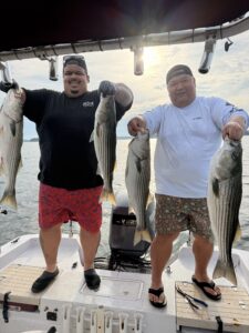 Lake Lanier trophy striped bass weighing 20 pounds or more