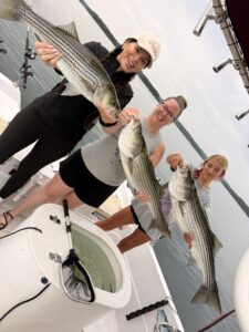 Lake Lanier trophy striped bass weighing 20 pounds or more