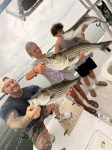 Lake Lanier trophy striped bass weighing 20 pounds or more
