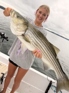 Lake Lanier trophy striped bass weighing 20 pounds or more