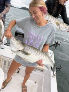Lake Lanier trophy striped bass weighing 20 pounds or more