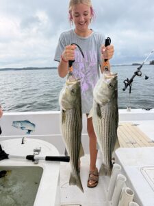 Lake Lanier trophy striped bass weighing 20 pounds or more
