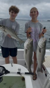 Lake Lanier trophy striped bass weighing 20 pounds or more