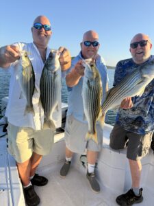 Lake Lanier trophy striped bass weighing 20 pounds or more