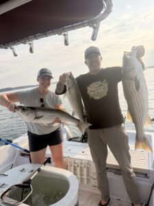 Lake Lanier trophy striped bass weighing 20 pounds or more