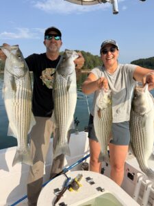 Lake Lanier trophy striped bass weighing 20 pounds or more