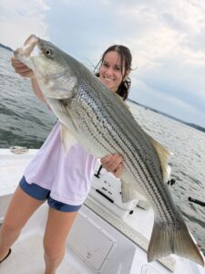 Lake Lanier trophy striped bass weighing 20 pounds or more