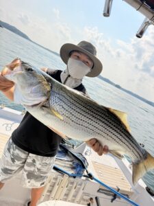 Lake Lanier trophy striped bass weighing 20 pounds or more