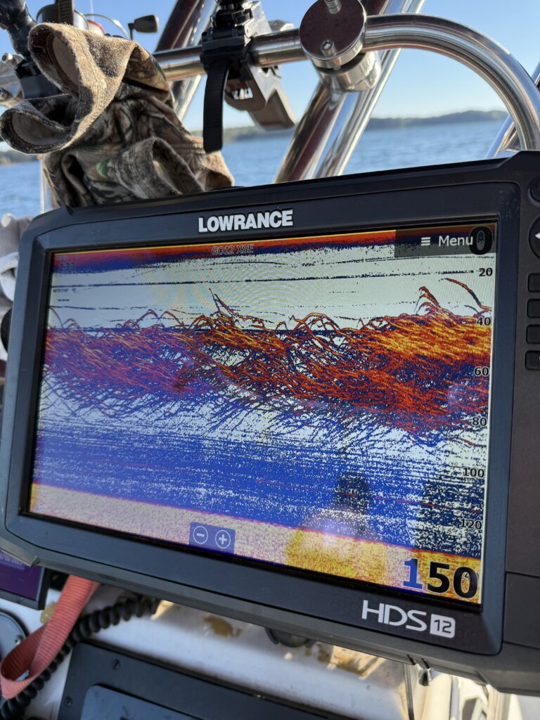 Lake Lanier Turnover: How It Affects Fishing img 3810