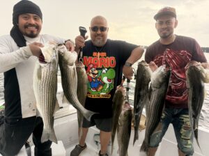 Lake Lanier trophy striped bass weighing 20 pounds or more