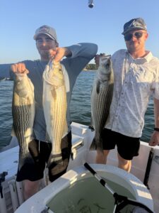 Lake Lanier trophy striped bass weighing 20 pounds or more