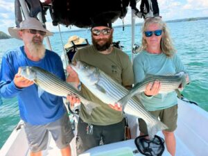 Lake Lanier trophy striped bass weighing 20 pounds or more