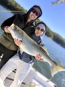 Lake Lanier trophy striped bass weighing 20 pounds or more