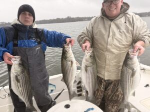 Lake Lanier trophy striped bass weighing 20 pounds or more