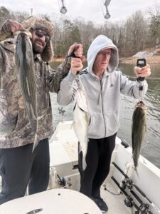Lake Lanier trophy striped bass weighing 20 pounds or more