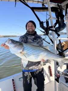 Lake Lanier trophy striped bass weighing 20 pounds or more