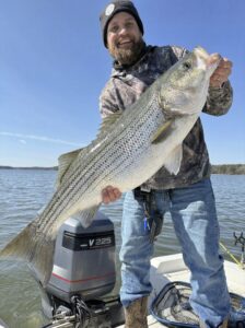 Lake Lanier trophy striped bass weighing 20 pounds or more