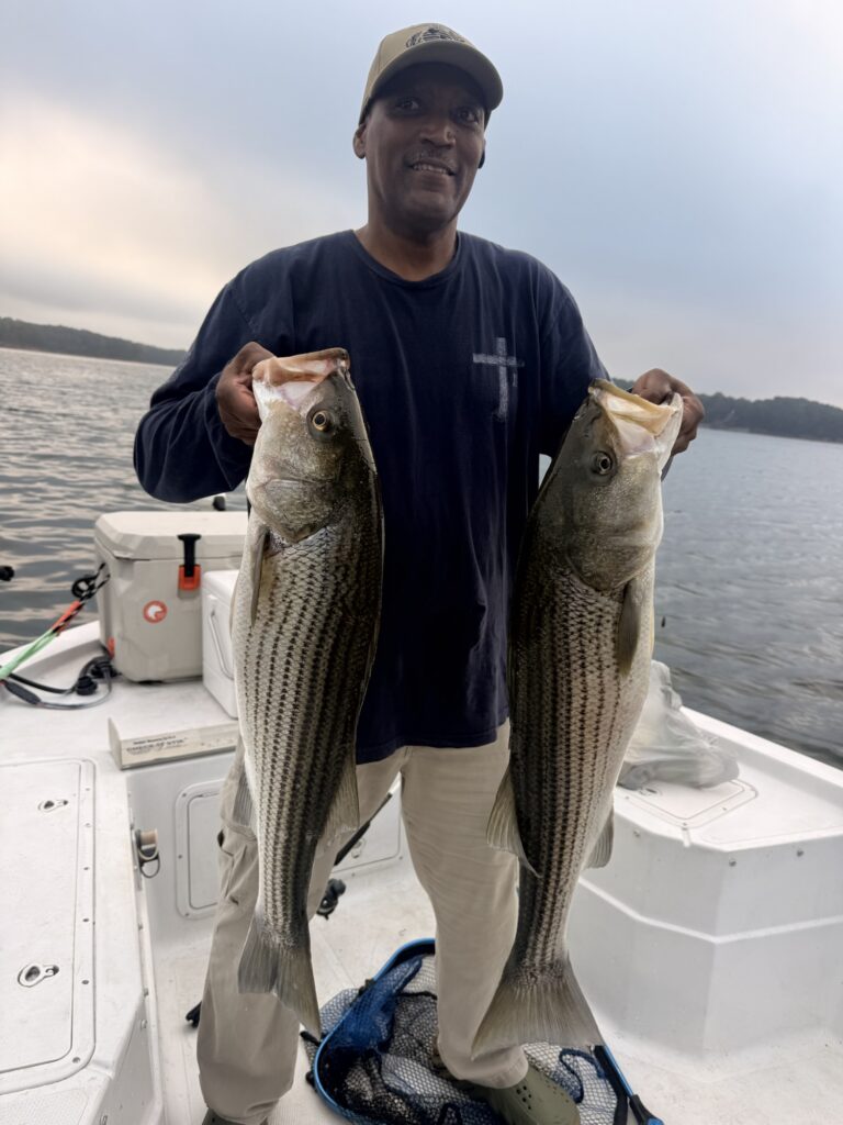 October 1, 2026 Angler holding two striped bass caught during a fall fishing trip on Lake Lanier