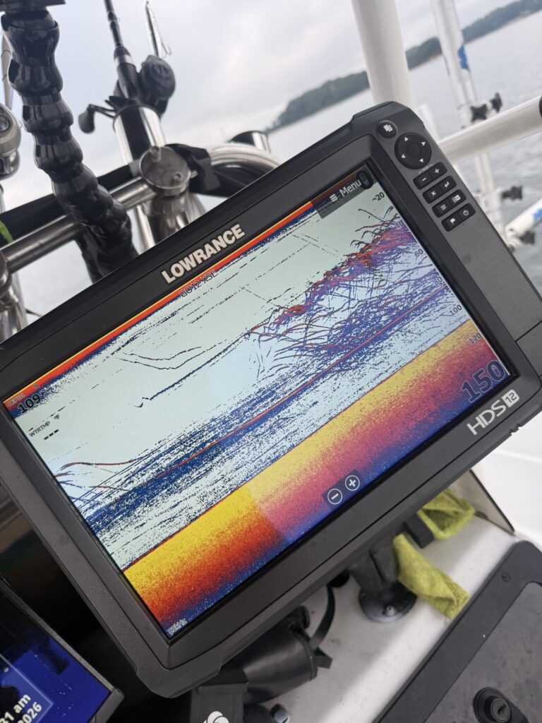 October 1, 2026 Striped bass shown on Lowrance sonar repositioning in deep water on Lake Lanier